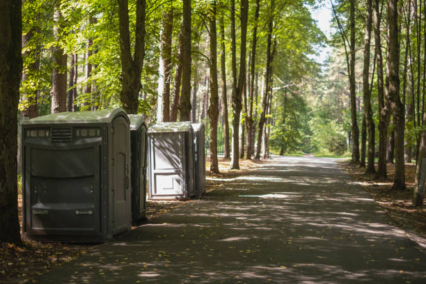Lawn Drainage Solutions in Marietta, PA