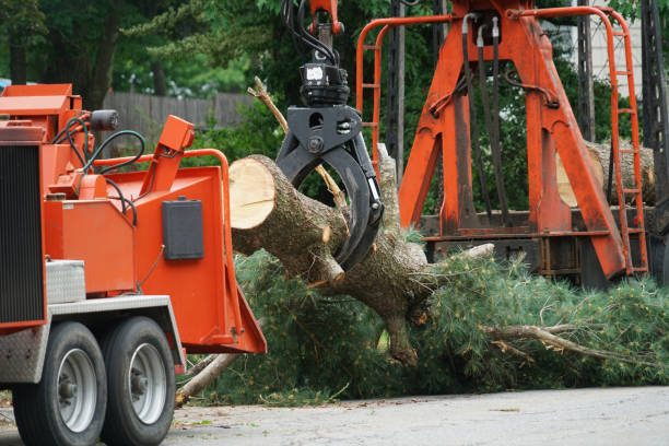 Best Aeration Services  in Marietta, PA
